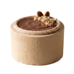 Chocolate caramel cake
